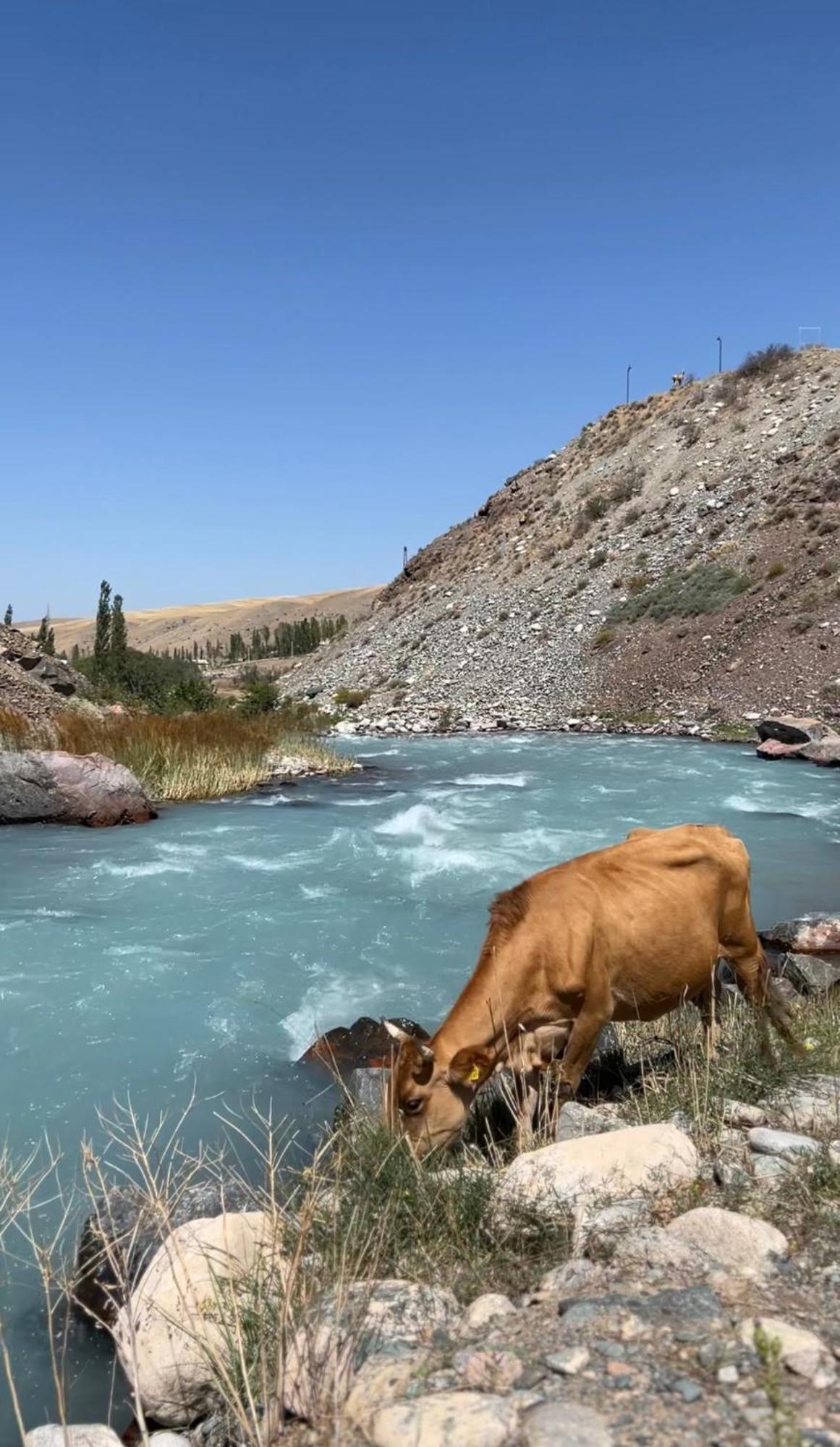 Mountain View Hot Spring Resort Bishkek Luaran gambar