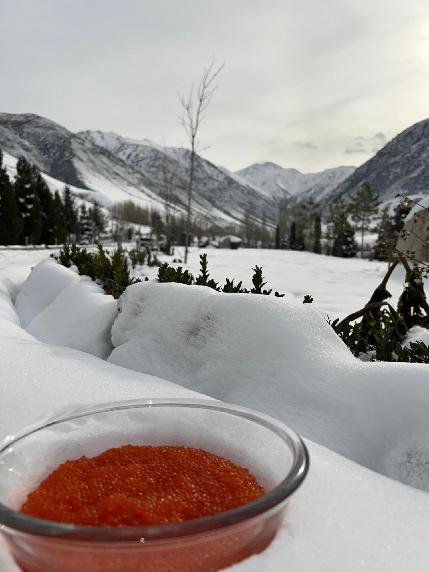Mountain View Hot Spring Resort Bishkek Luaran gambar